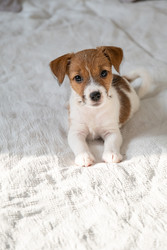 Similar image 22535349