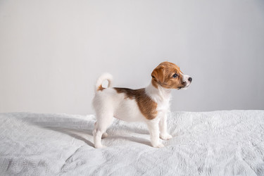 Similar image 22535350