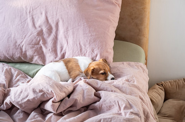 Similar image 22535379