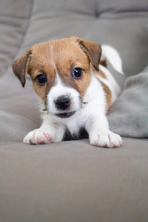 Similar image 22535381