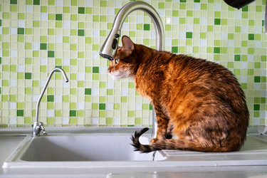 Similar image 22535382