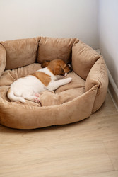 Similar image 22535394