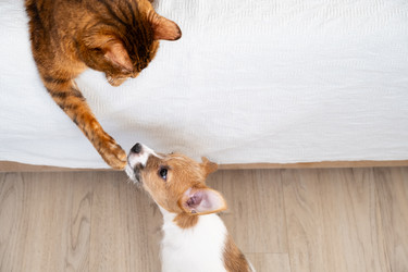 Similar image 22535395