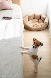 Similar image 22535397