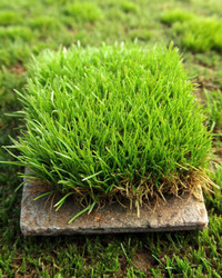 Similar image 22534244