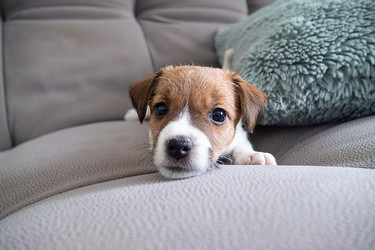 Similar image 22535424