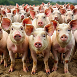 Similar image 22534297