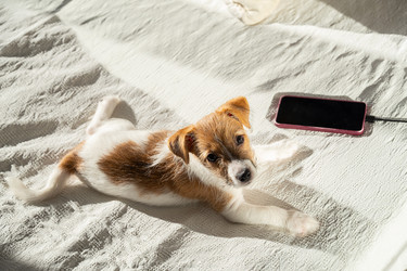 Similar image 22535441