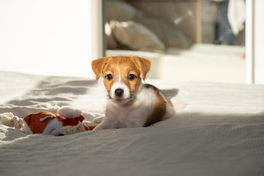 Similar image 22535442