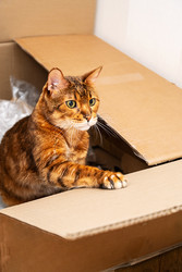 Similar image 22535443