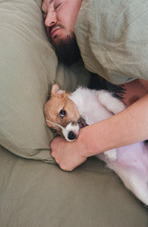 Similar image 22535447