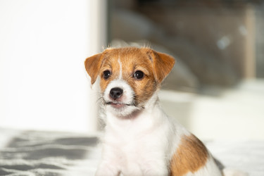 Similar image 22535449