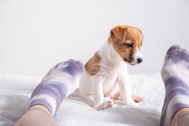 Similar image 22535450