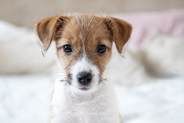 Similar image 22535454