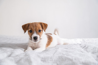 Similar image 22535457