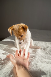 Similar image 22535459