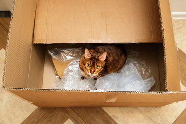 Similar image 22535464