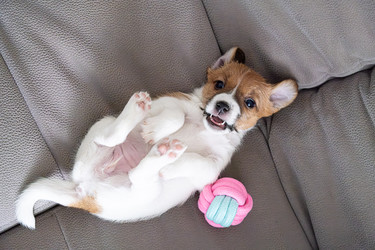 Similar image 22535469