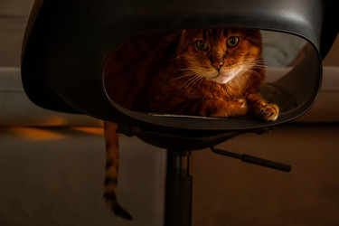 Similar image 22535471