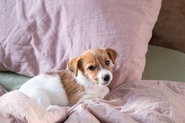 Similar image 22535473