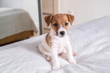 Similar image 22535474