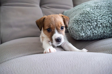 Similar image 22535321