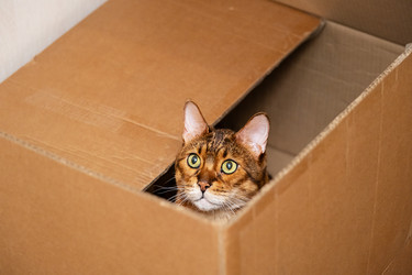 Similar image 22535322