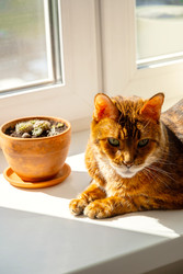 Similar image 22535337