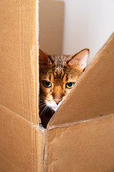 Similar image 22535339