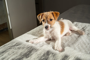 Similar image 22535340