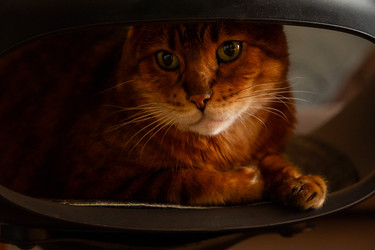 Similar image 22535366