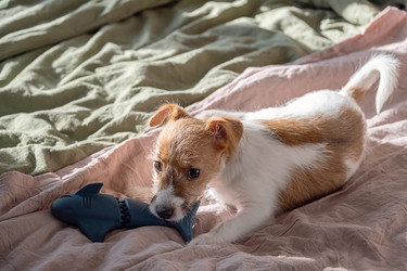 Similar image 22535368