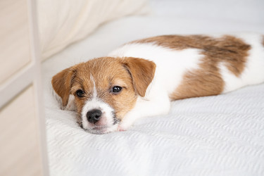 Similar image 22535399