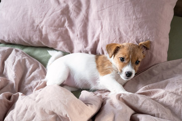 Similar image 22535400