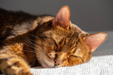 Similar image 22535401