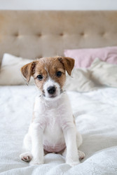 Similar image 22535412