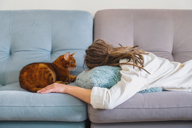 Similar image 22535415