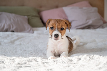 Similar image 22535419