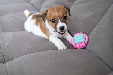 Similar image 22535420