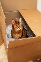 Similar image 22535422