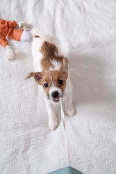 Similar image 22535423