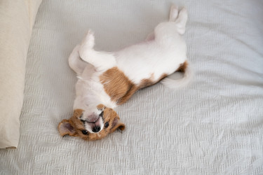 Similar image 22535427