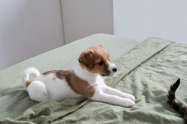 Similar image 22535428