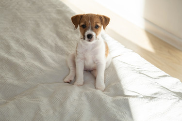 Similar image 22535429