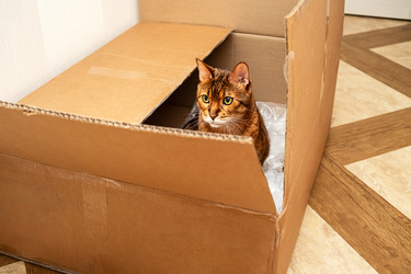 Similar image 22535430