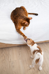 Similar image 22535433