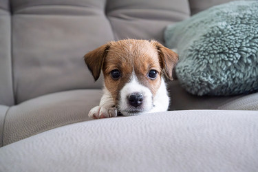 Similar image 22535438