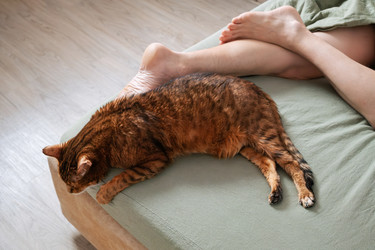 Similar image 22535467