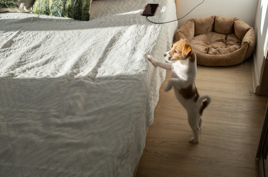 Similar image 22535476