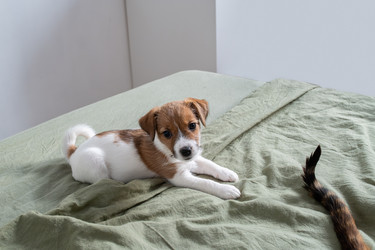 Similar image 22535477